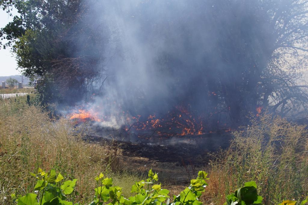 Incendio forestal en Aldeaseca de Alba. FOTO S24H (13)