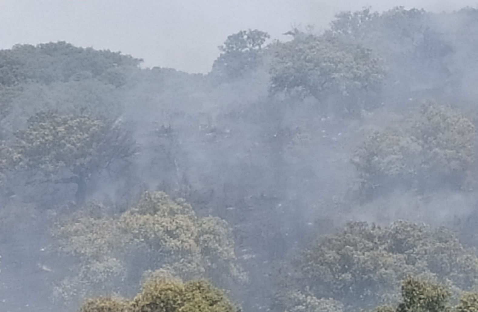 Incendio en Casasola de la Encomienda. FOTOS 24H (3)