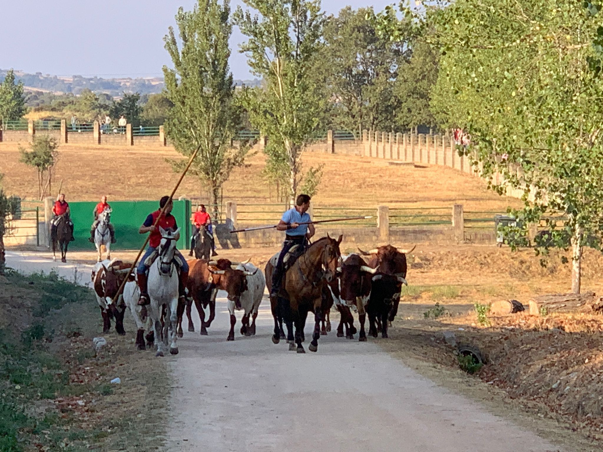 Primer encierro a caballo en Aldeadávila de la Ribera. FOTOS S24H (9)