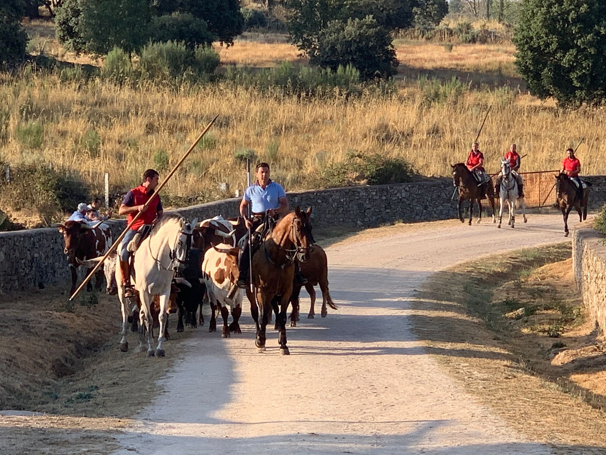 Primer encierro a caballo en Aldeadávila de la Ribera. FOTOS S24H (13)