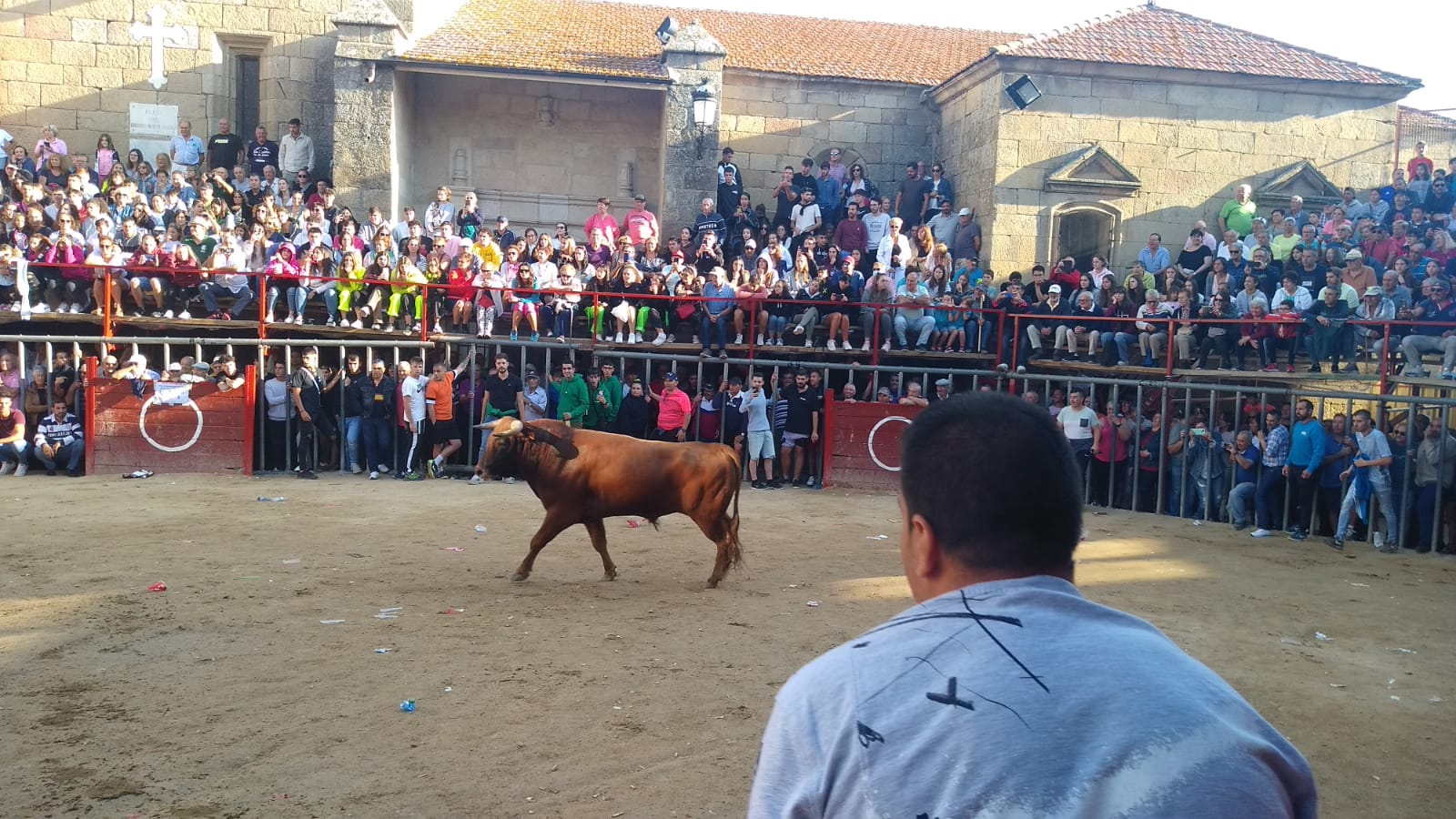 Primer encierro a caballo en Aldeadávila de la Ribera. FOTOS S24H (14)
