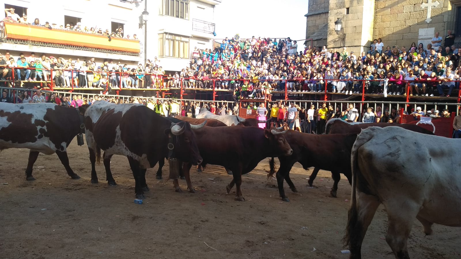 Primer encierro a caballo en Aldeadávila de la Ribera. FOTOS S24H (14)