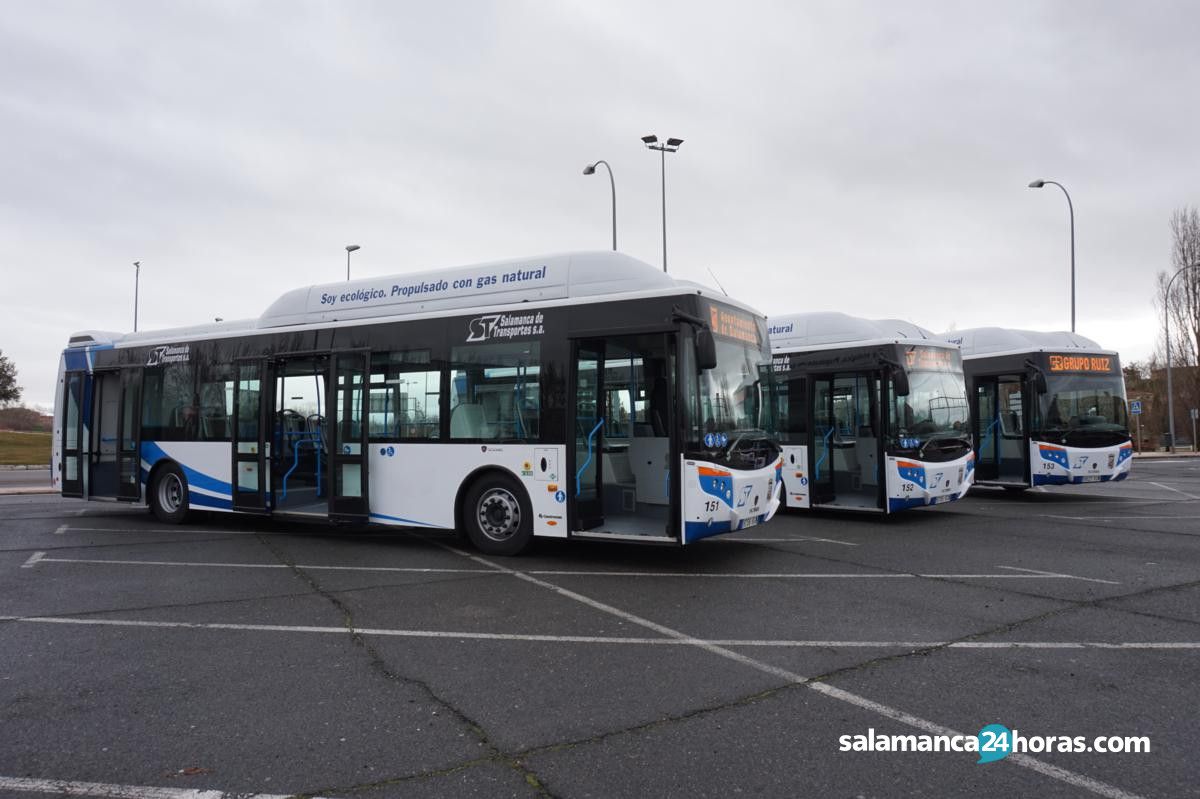  Autobuses (3) 