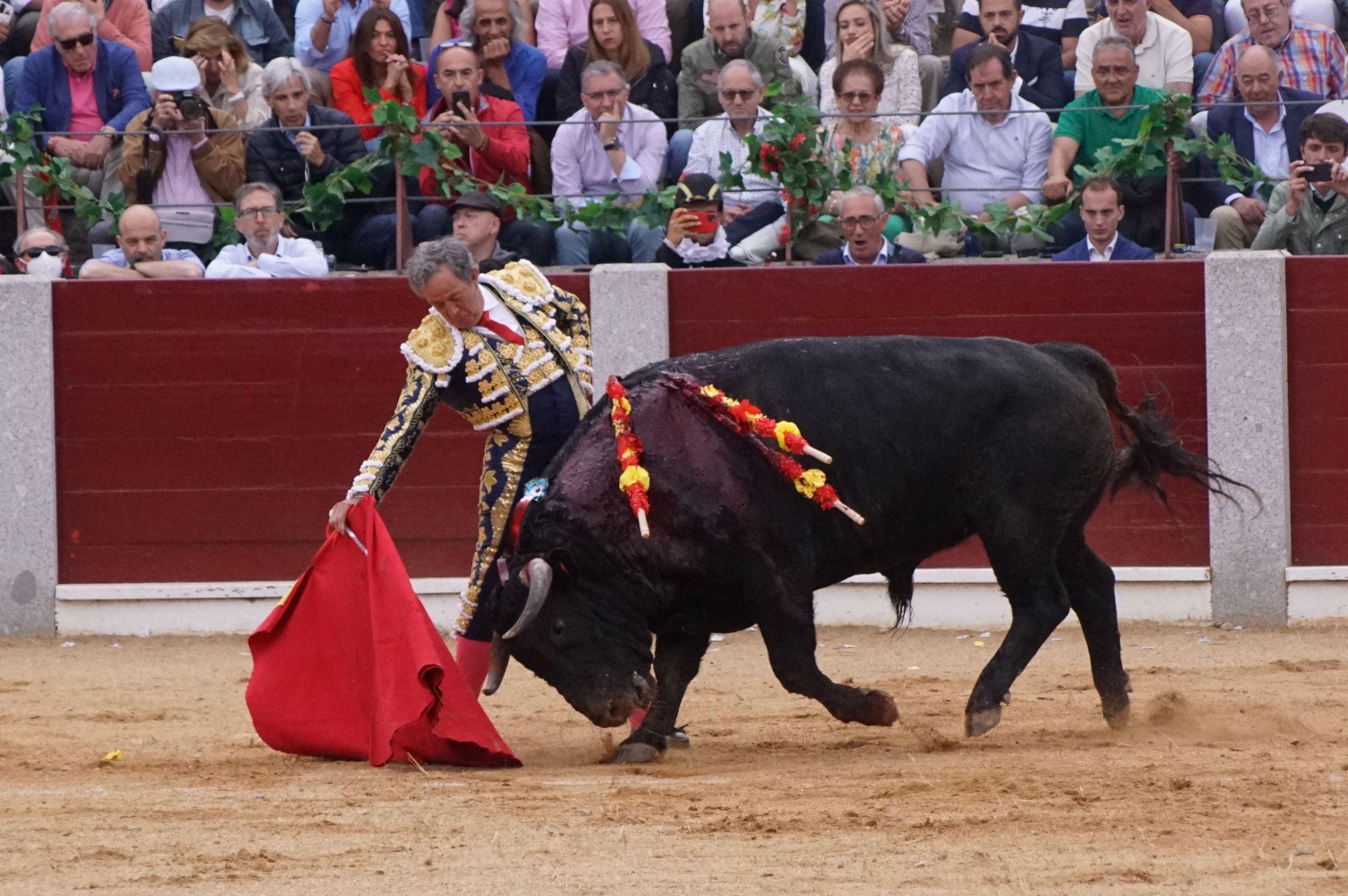 Noticias y última hora sobre Toros en Salamanca