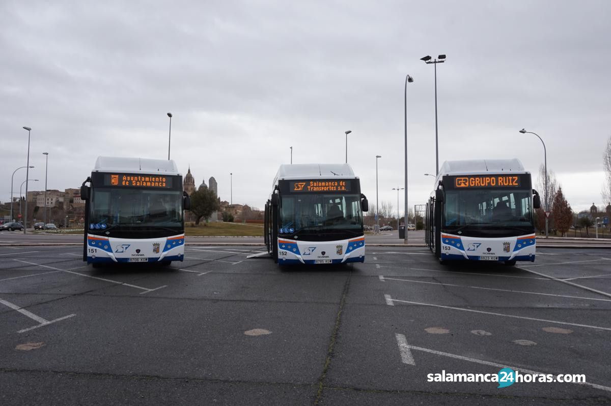  Autobuses (2) 