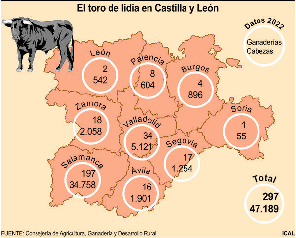 Presencia del toro de lidia en Castilla y León. Foto ICAL