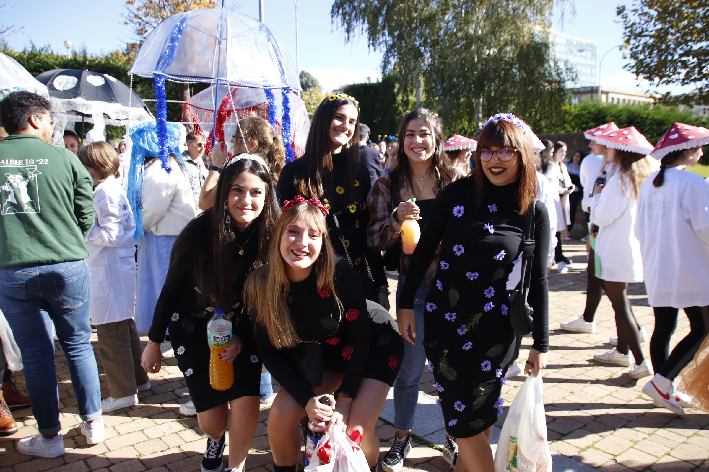 Los estudiantes de Ciencias de la Universidad celebran San Alberto