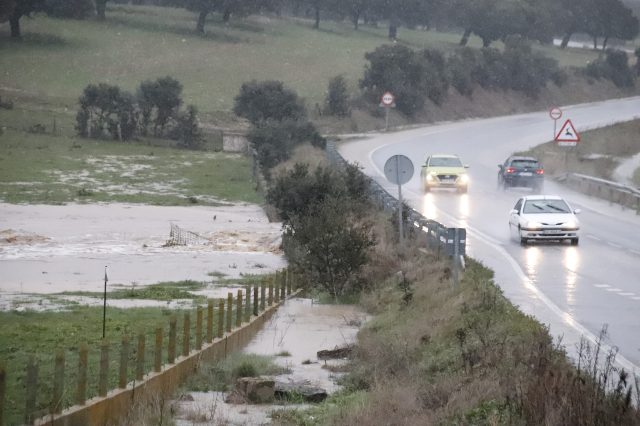 Inundación carretera CL 512 (14)