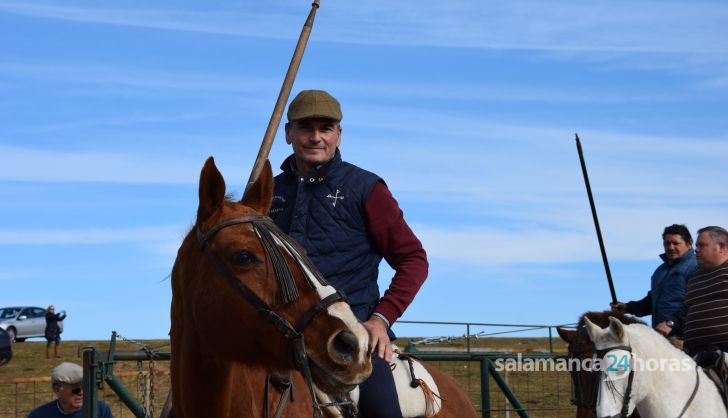 Labores de campo astados Villanueva encierro a caballo Ciudad Rodrigo (36)
