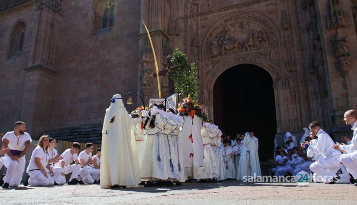 Procesión de la Borriquilla de la Hermandad de Jesús Amigo de los Niños