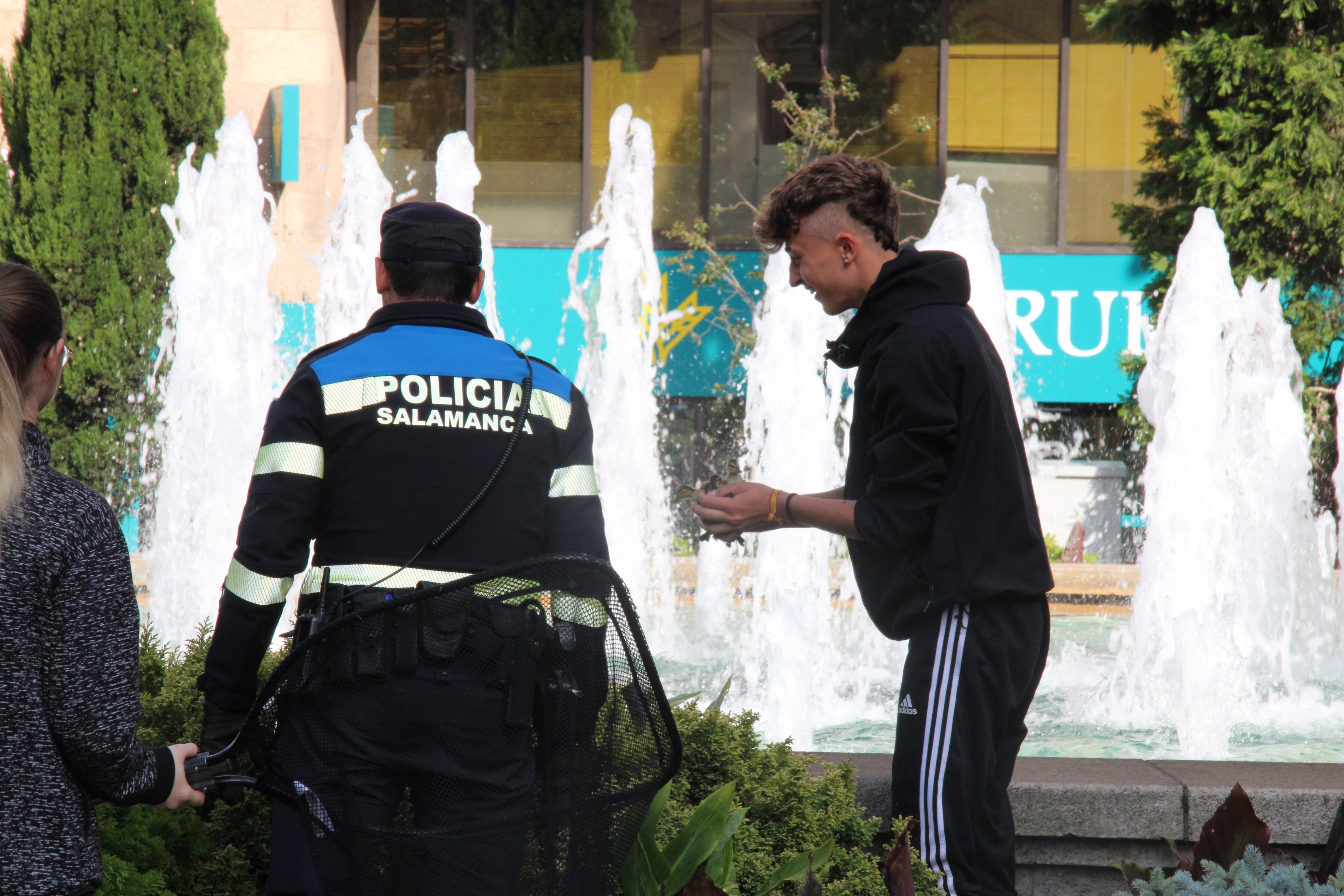 GALERÍA | Agentes de la Policía Local y técnicos de 'Las Dunas' dan captura a seis crías de patos en la fuente de Puerta Zamora. Fotos S24H