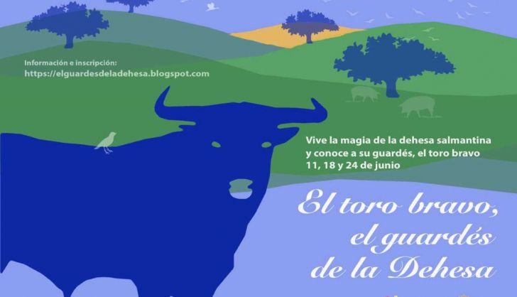 La Diputación de Salamanca pone en marcha este junio la experiencia turística 'El toro bravo, el guardés de la dehesa'
