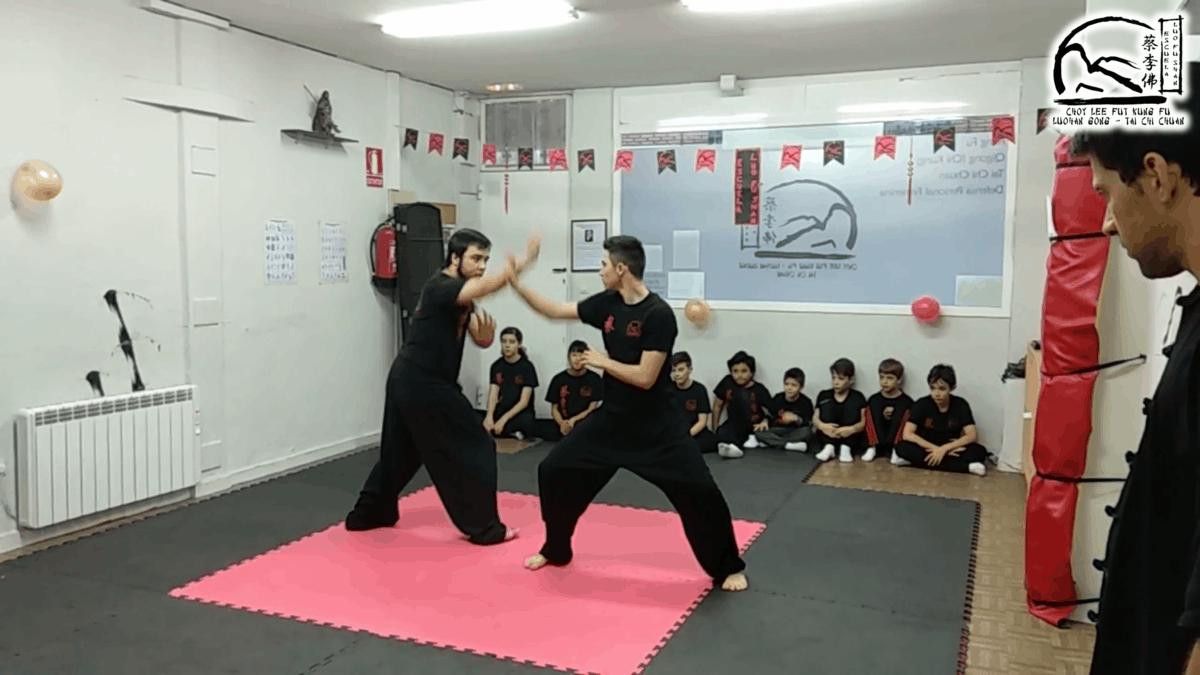  Exhibición Kung Fú (8) 