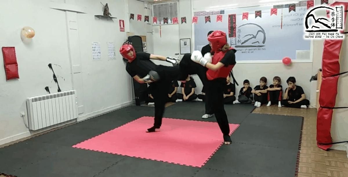  Exhibición Kung Fú (5) 
