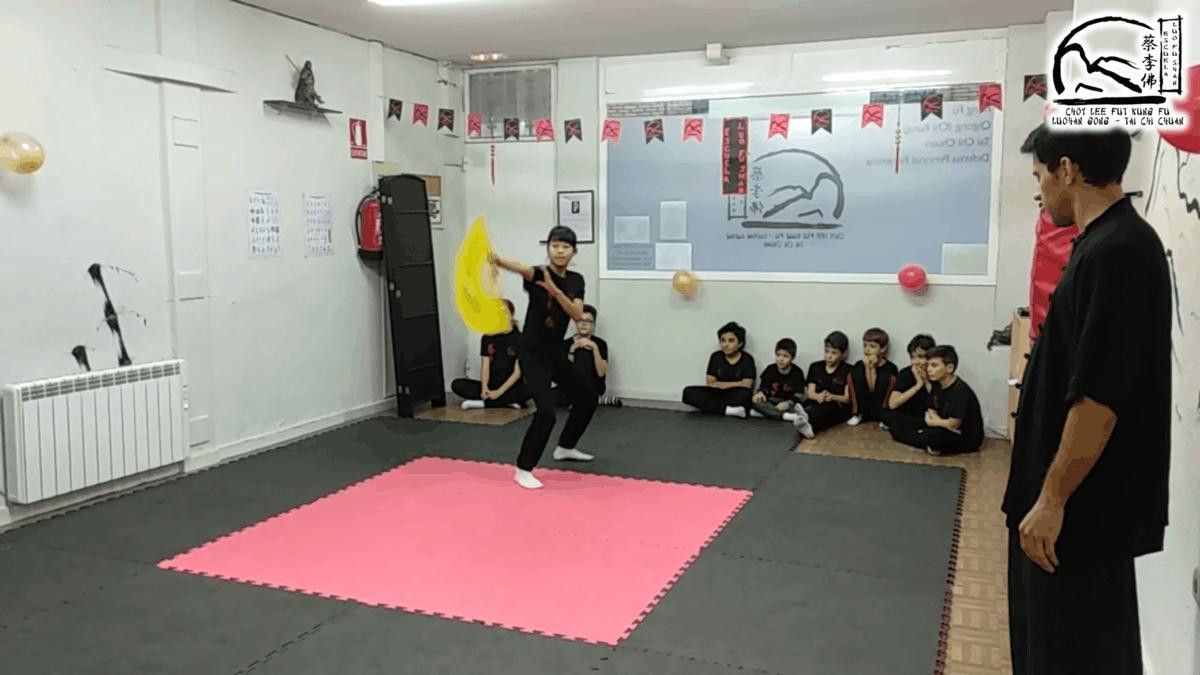  Exhibición Kung Fú (9) 
