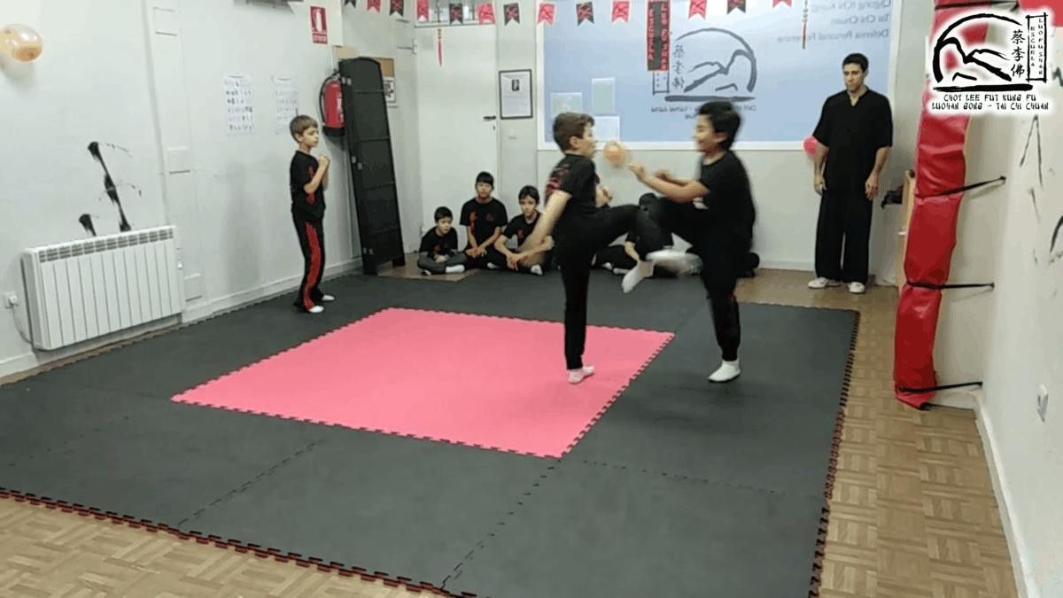  Exhibición Kung Fú (3) 