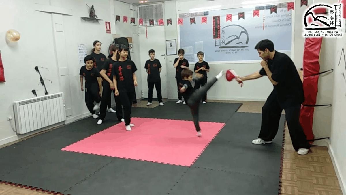  Exhibición Kung Fú (6) 