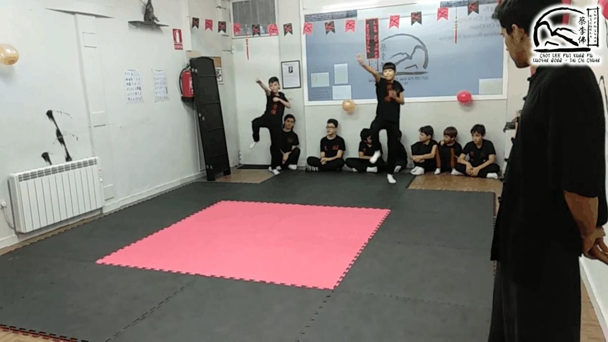 Exhibición Kung Fú (13) 