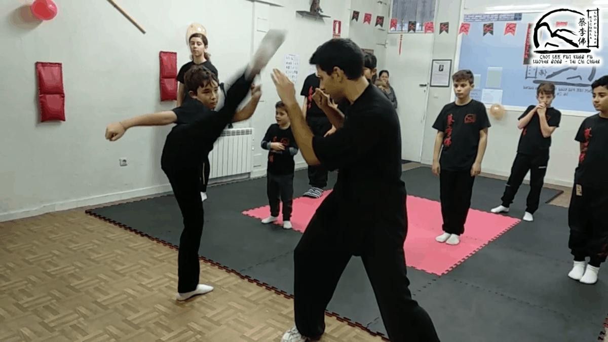  Exhibición Kung Fú (2) 