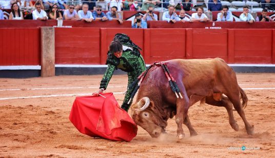 Miguel Ángel Perera toreando a ‘Madrileño’, un toro del Vellosino en La Glorieta. Foto Andrea M.
