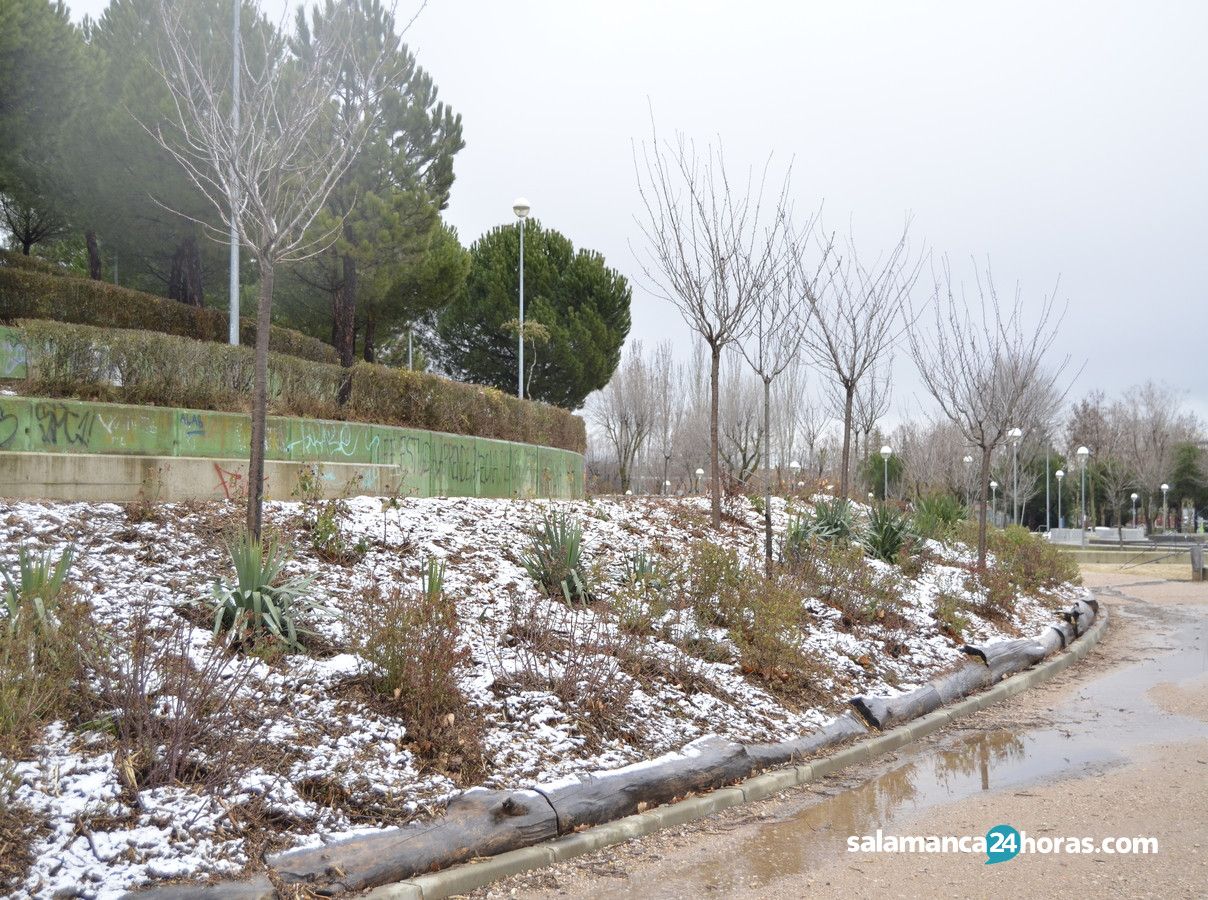  Nieve Salamanca#19 