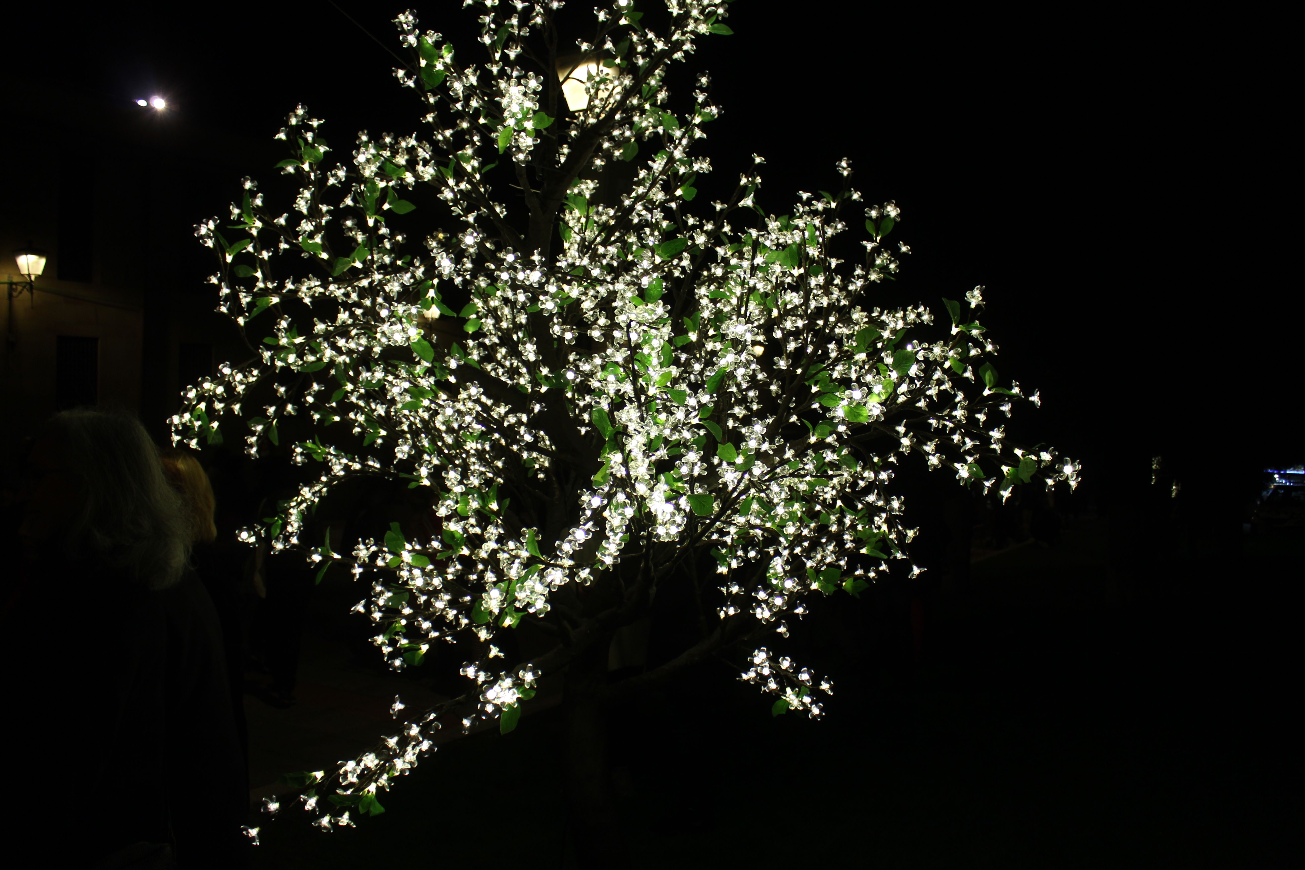 El alcalde hace la inaguración de la iluminación navideña en el Patio Chico.