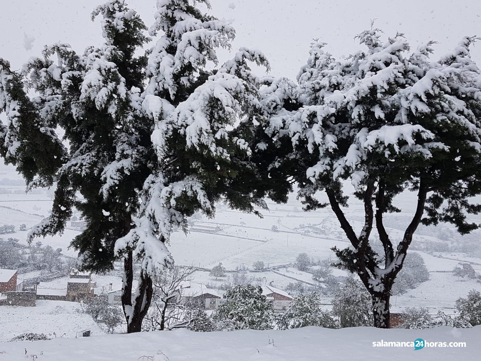  Nieve en Lumbrales e Hinojosa (4) 