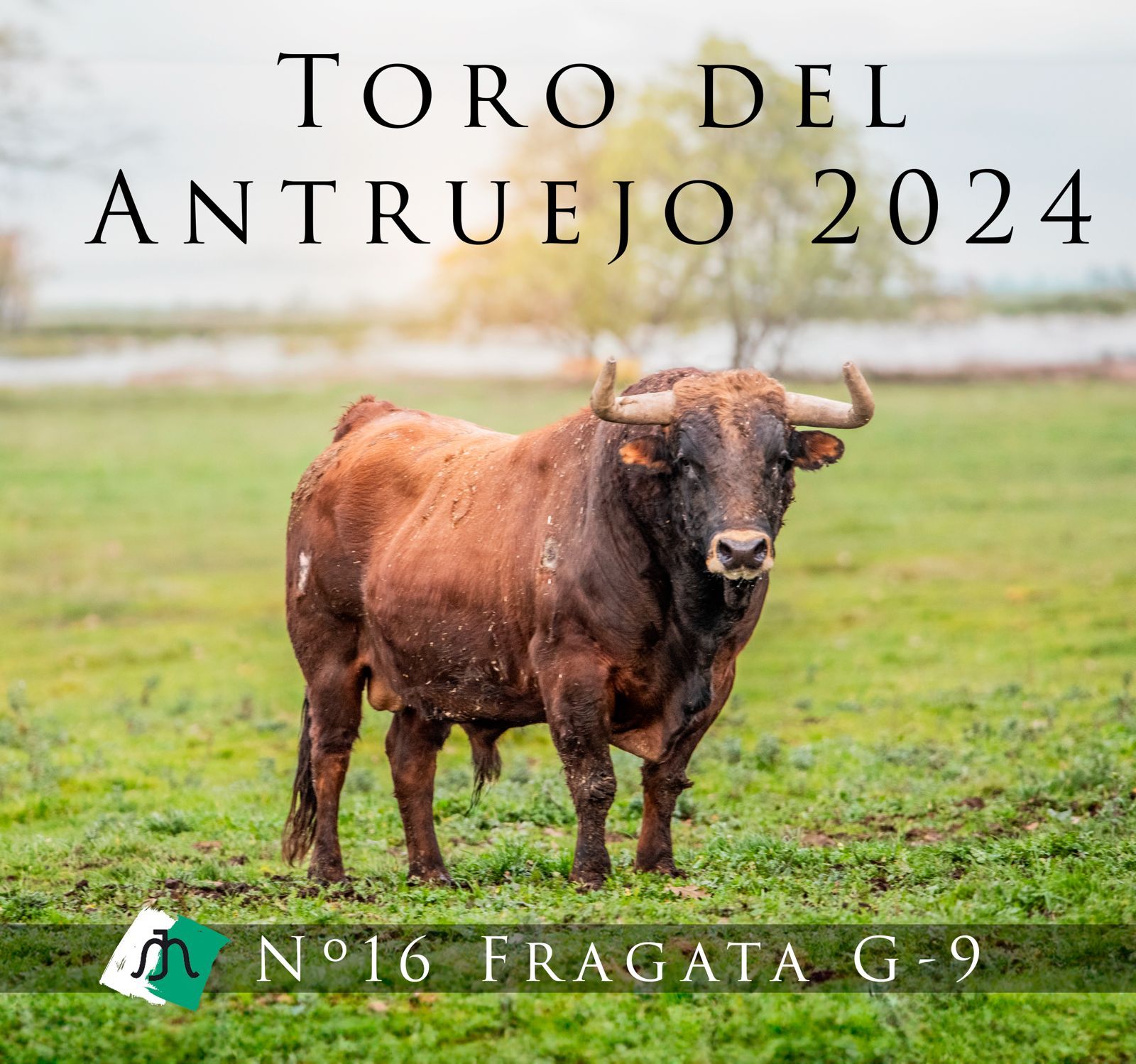 Fragata Toro Antruejo 2024 (1)