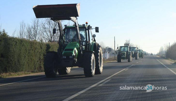 Protesta de los agricultores y ganaderos en Salamanca, viernes, 2 de febrero. Fotos Andrea M (3)