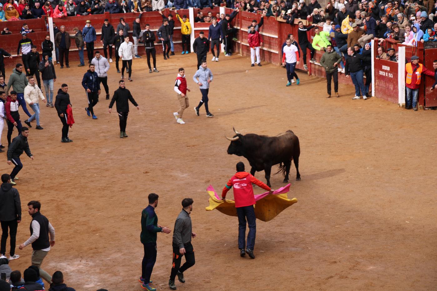 Encierro del Toro del Antruejo del Carnaval de Ciudad Rodrigo
