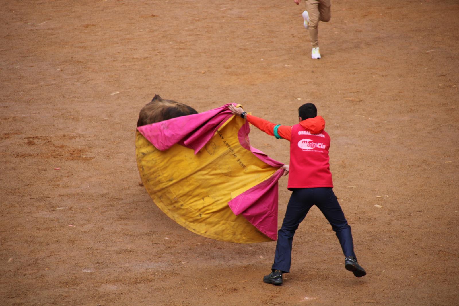 Encierro del Toro del Antruejo del Carnaval de Ciudad Rodrigo