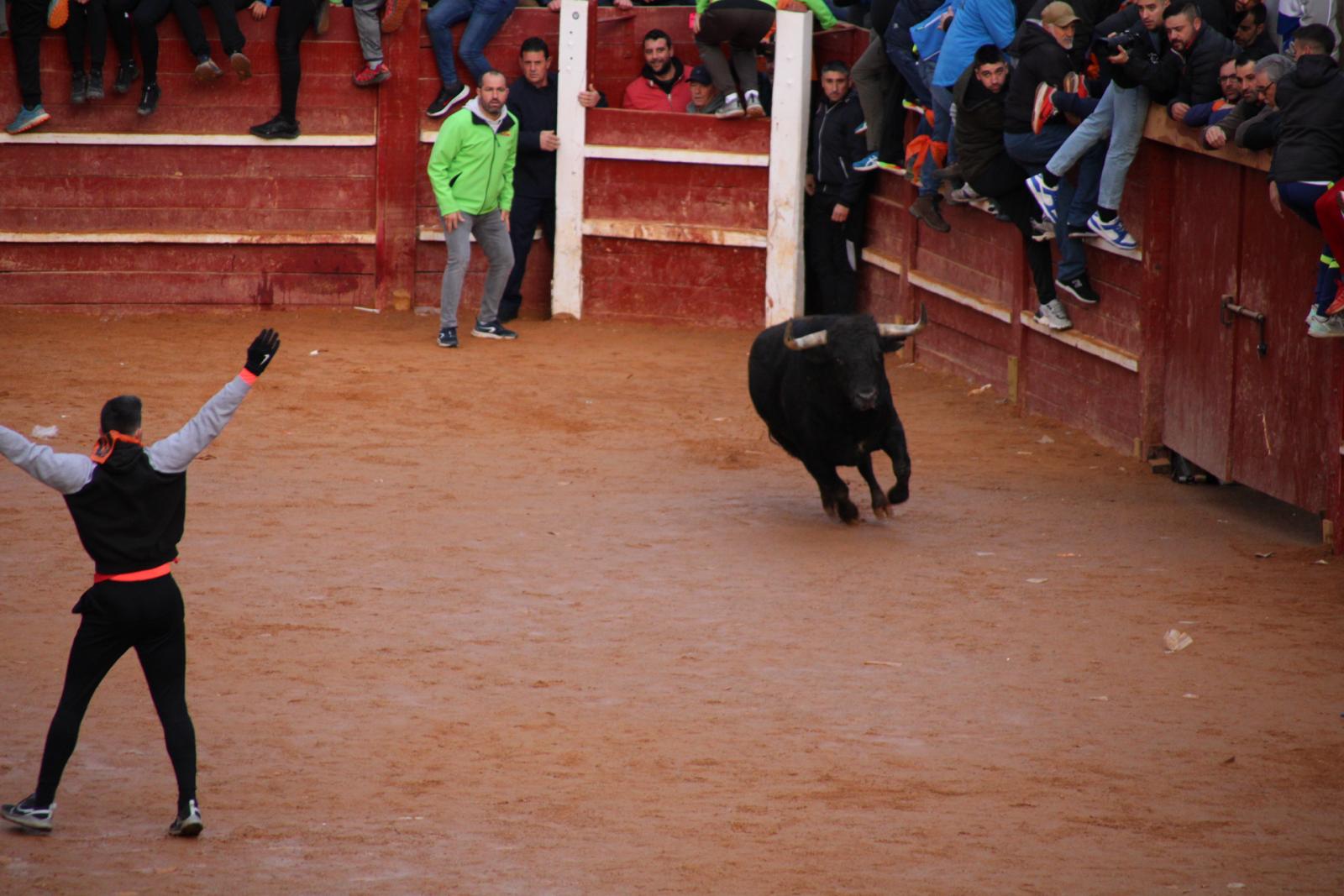 Toro del aguardiente en Ciudad Rodrigo. Carnaval 24 (9)