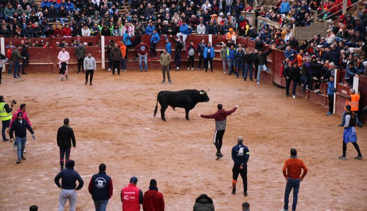 Toro del aguardiente en Ciudad Rodrigo. Carnaval 24 (17)