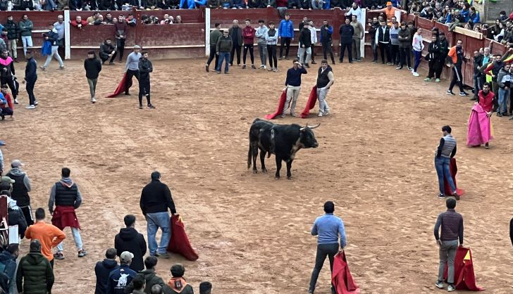 Maletillas y recortadores en la capea del martes en Ciudad Rodrigo. Foto S24H