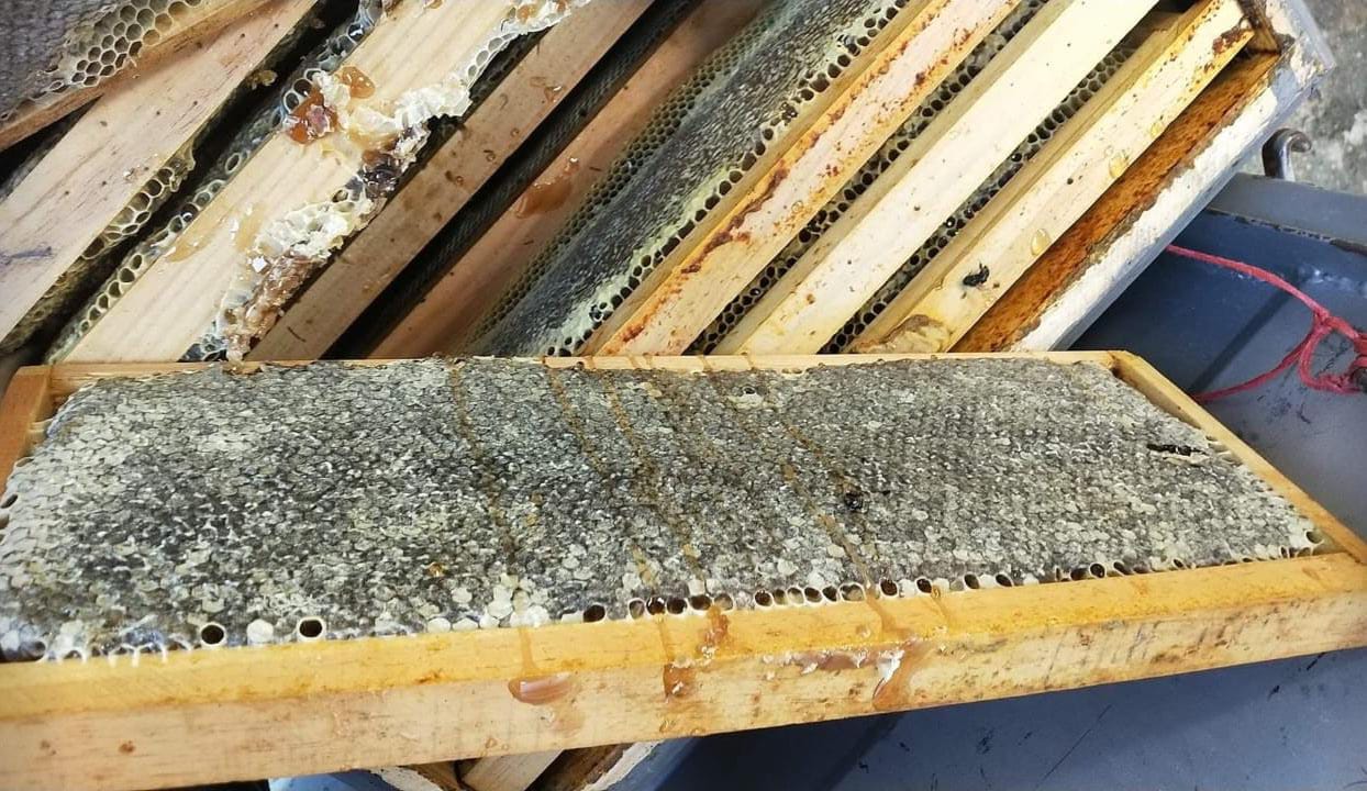 Colmenas para la apicultura