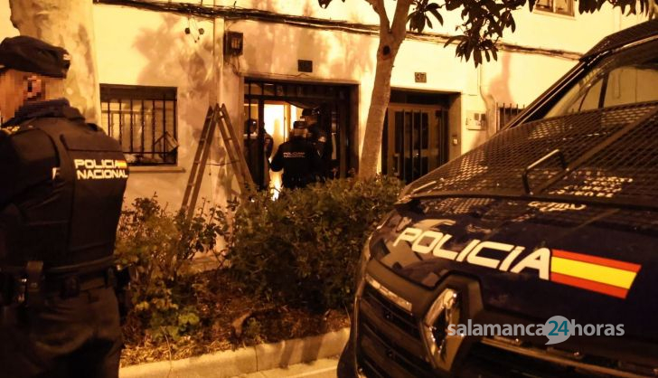 GALERÍA | Tres detenidos tras la incautación de marihuana en varias viviendas del barrio de La Vega