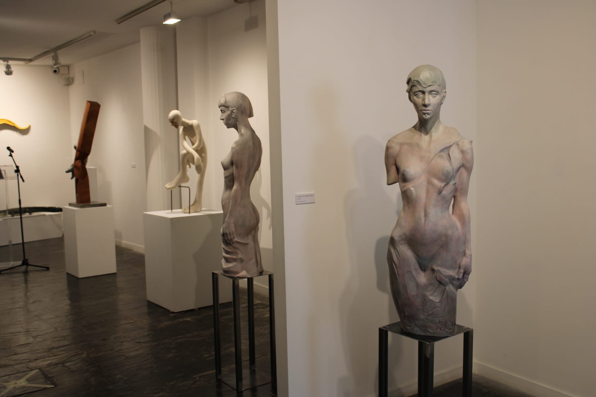 Exposición Escultura Plural en la sala de la Salina, Diputación de Salamanca  (5)