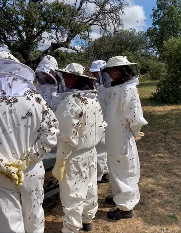 Curso de apicultura de Abiomed