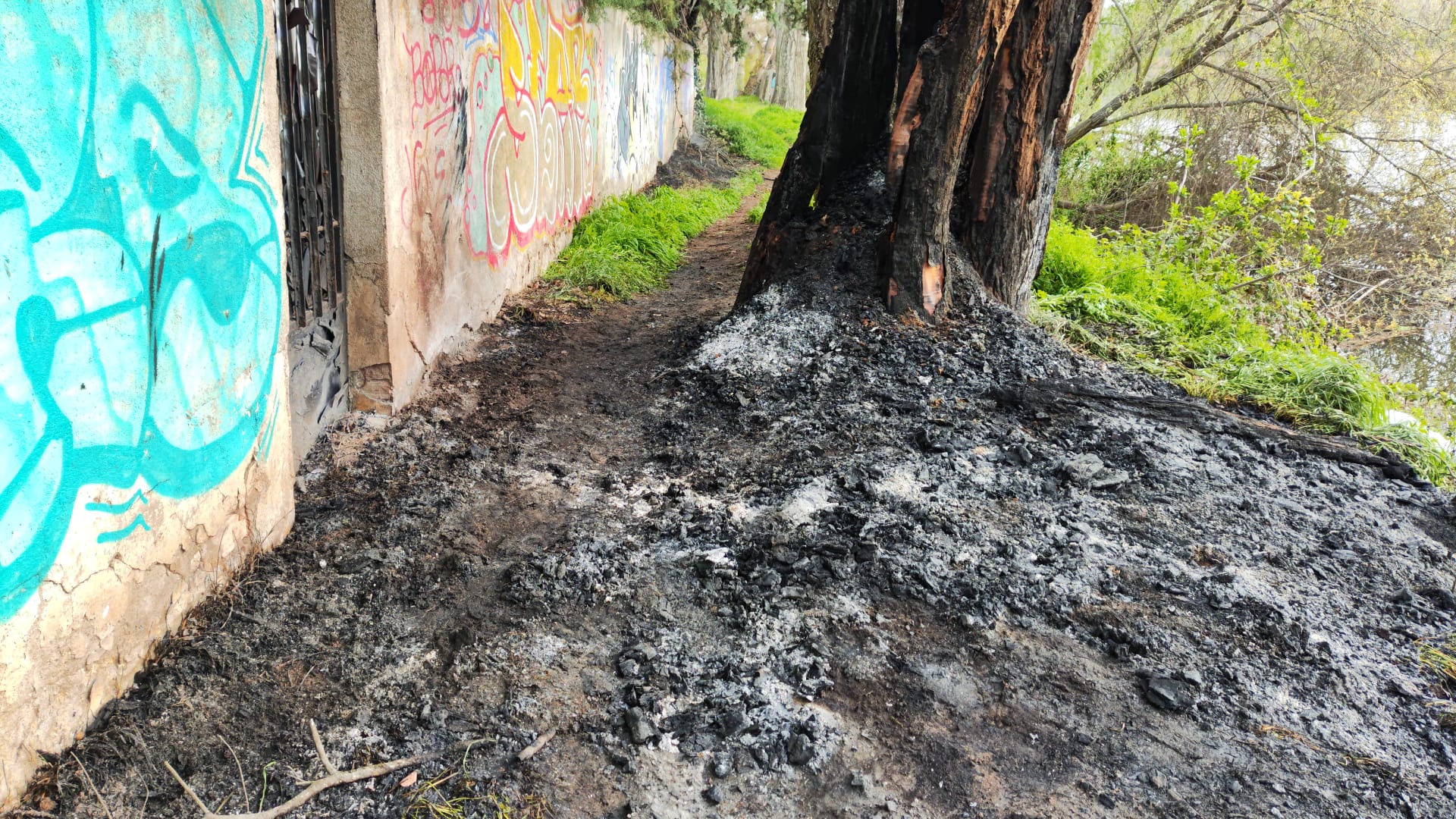 Pasto quemado en el sendero de La Aldehuela. Foto Carlos H.G