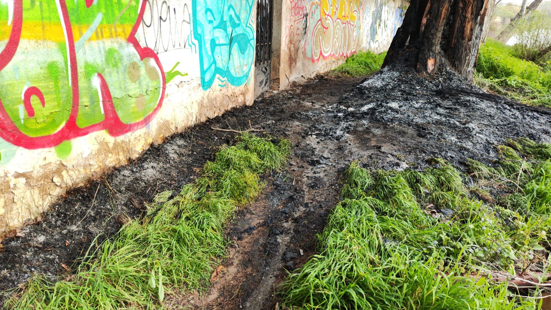 Pasto quemado en el sendero de La Aldehuela. Foto Carlos H.G