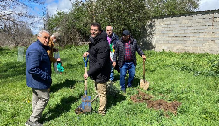 La Asociación Hispano Árabe de Salamanca Planta un olivo en Miranda de Azán por la paz en Palestina
