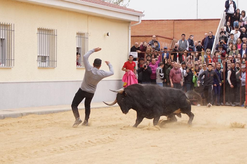 Ambiente y participación durante el 'Toro del Voto' en Villoria, suelta de dos toros del cajón. Foto Juanes (2)