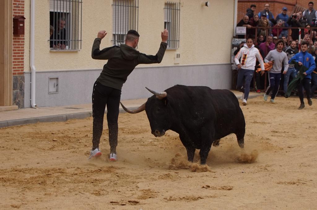 Ambiente y participación durante el 'Toro del Voto' en Villoria, suelta de dos toros del cajón. Foto Juanes (5)