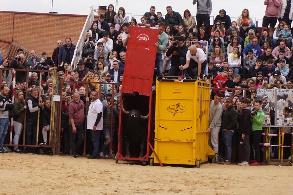 Ambiente y participación durante el 'Toro del Voto' en Villoria, suelta de dos toros del cajón. Foto Juanes (11)