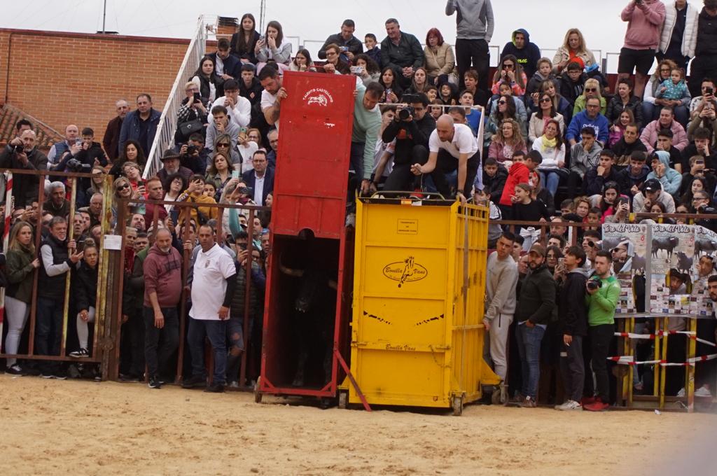 Ambiente y participación durante el 'Toro del Voto' en Villoria, suelta de dos toros del cajón. Foto Juanes (12)