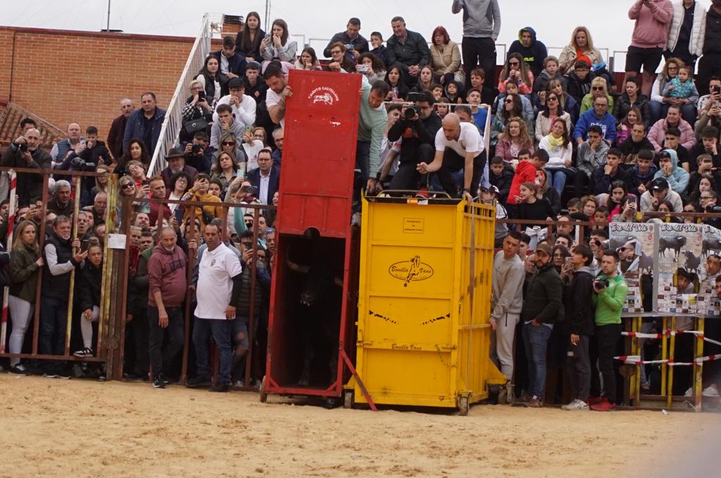 Ambiente y participación durante el 'Toro del Voto' en Villoria, suelta de dos toros del cajón. Foto Juanes (13)
