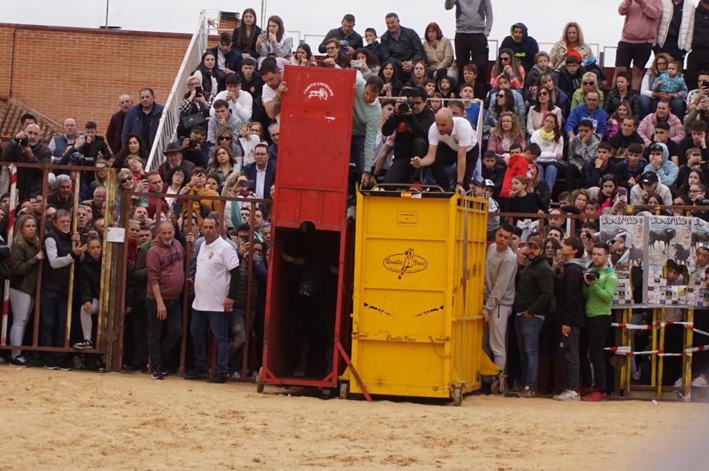 Ambiente y participación durante el 'Toro del Voto' en Villoria, suelta de dos toros del cajón. Foto Juanes (14)