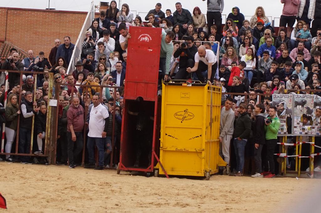 Ambiente y participación durante el 'Toro del Voto' en Villoria, suelta de dos toros del cajón. Foto Juanes (15)