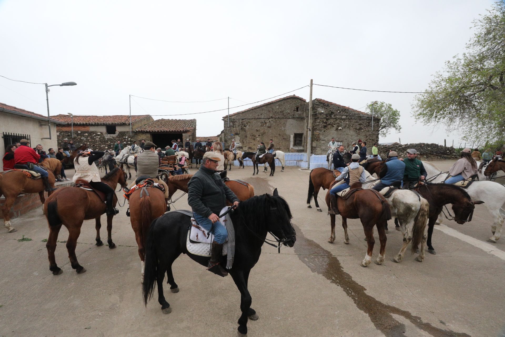 GALERÍA  Medio centenar de jinetes participan en la 'I Ruta a caballo de Siega Verde'. Fotos Siega Verde (13)