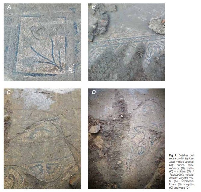 Mosaicos encontrados en Fresno Alhándiga. Fotos estudio Verónica Pérez y Mª de los Reyes de Soto